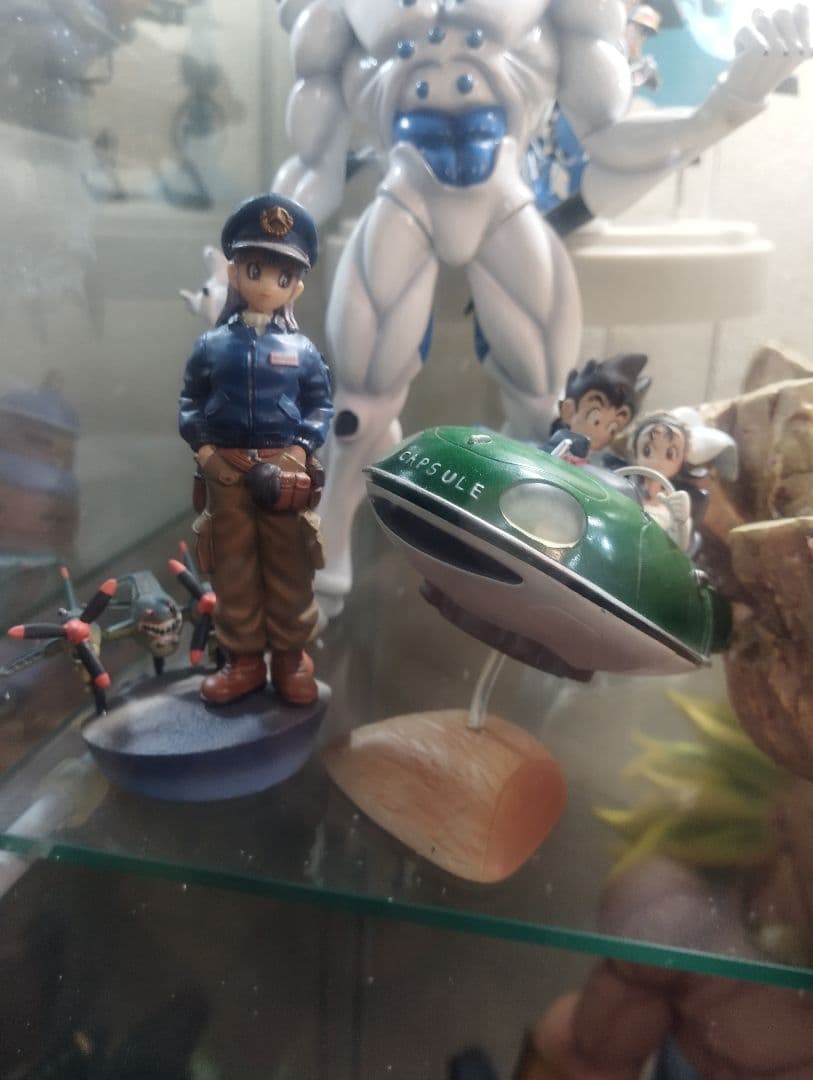 ドラゴンボール　ドラカプ　113個