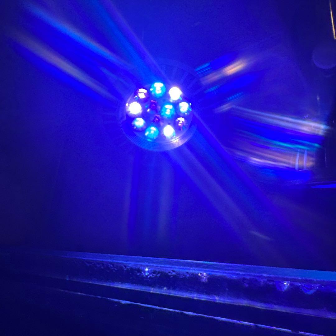 GrassyLeDiorX122 RF E26ソケットライト