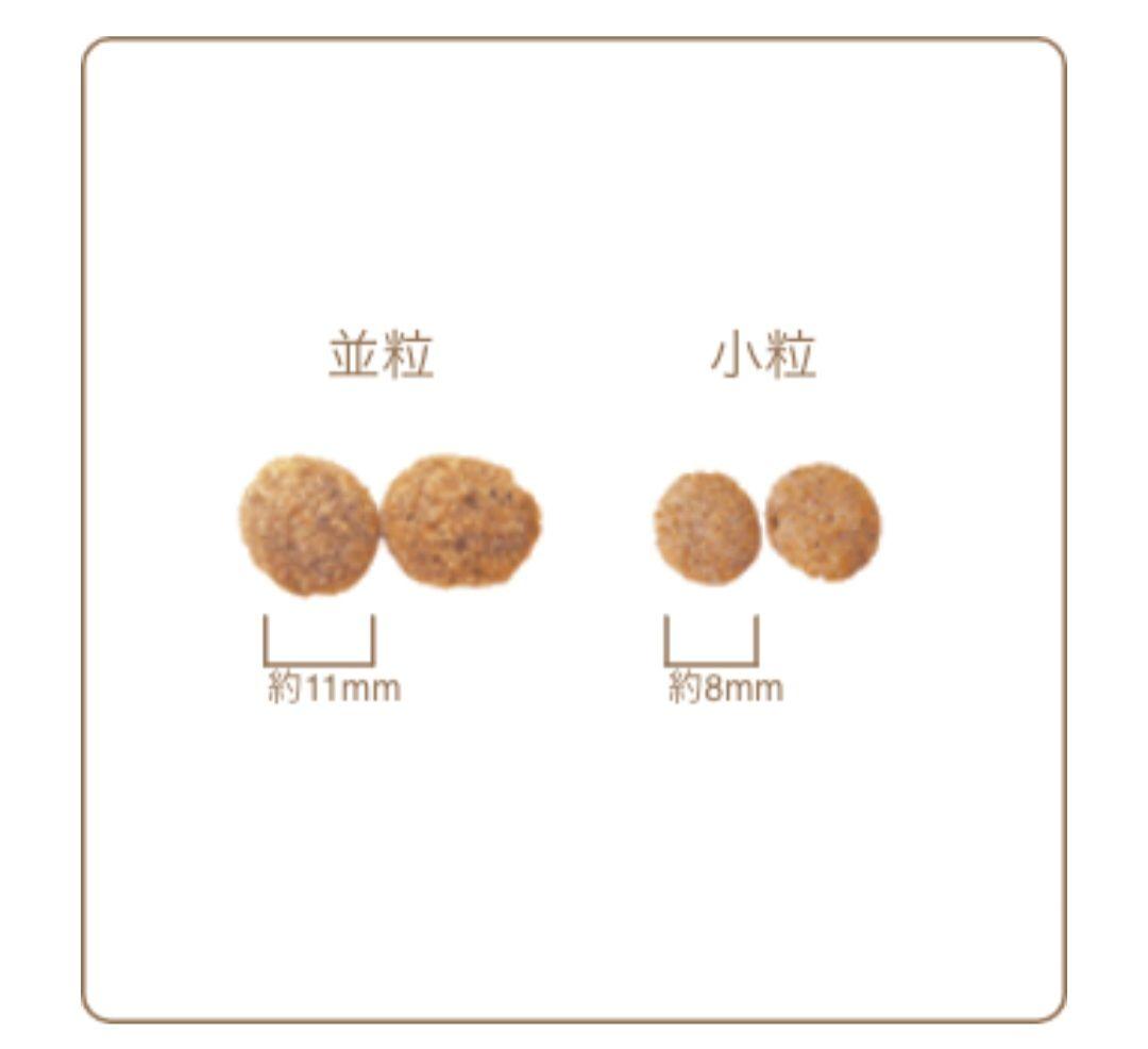 【24時間以内発送】AZ アゼット フィッシュ＆ポテト 10kg ２袋