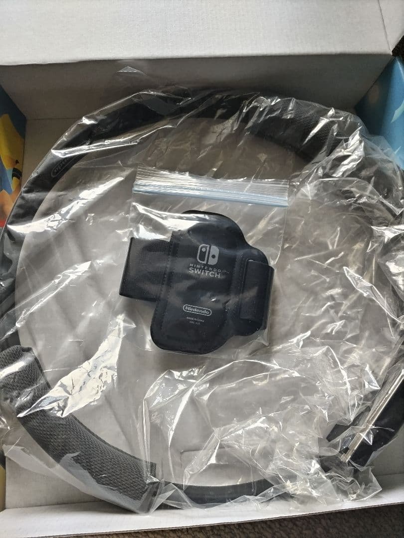 Nintendo Switch　リングフィットアドベンチャー　LAN接続いろいろ