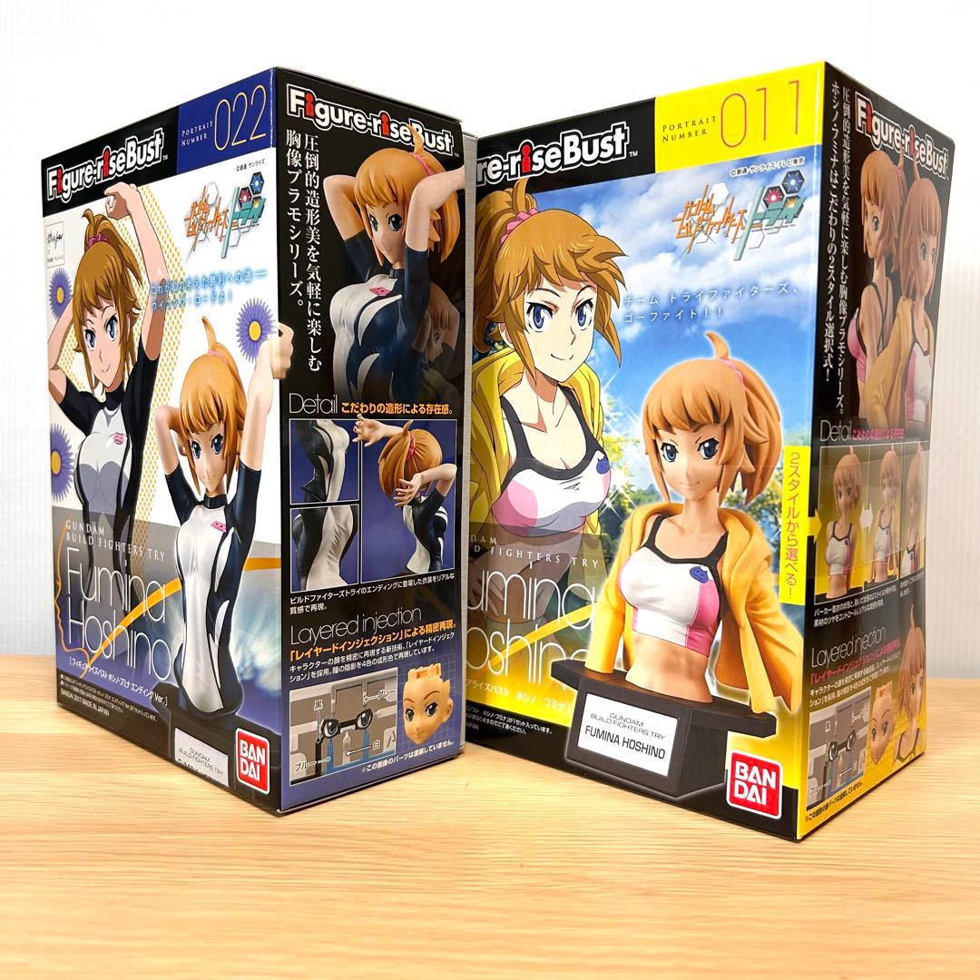 HG ガンプラ　美プラ　まとめ売り　ホシノフミナ