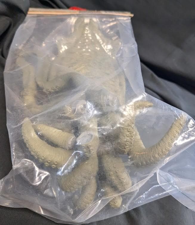 ゲゾラ「 決戦！ 南海の大怪獣」（バンダイミュージアム）未開封ソフビフィギュア