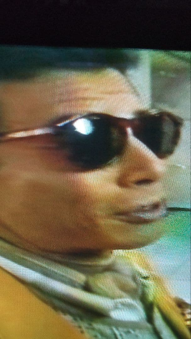 舘ひろしゴリラ警視庁鼈甲アルマーニサングラス