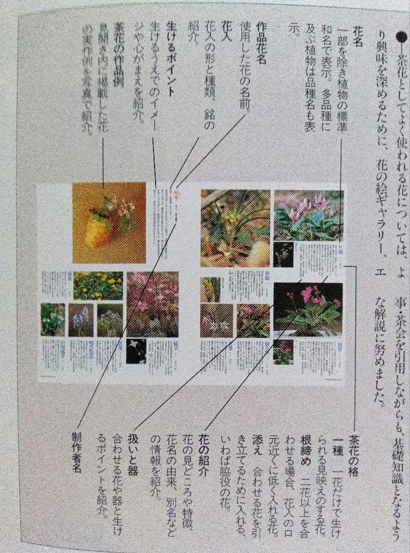 茶花づくし 炉編・風炉編