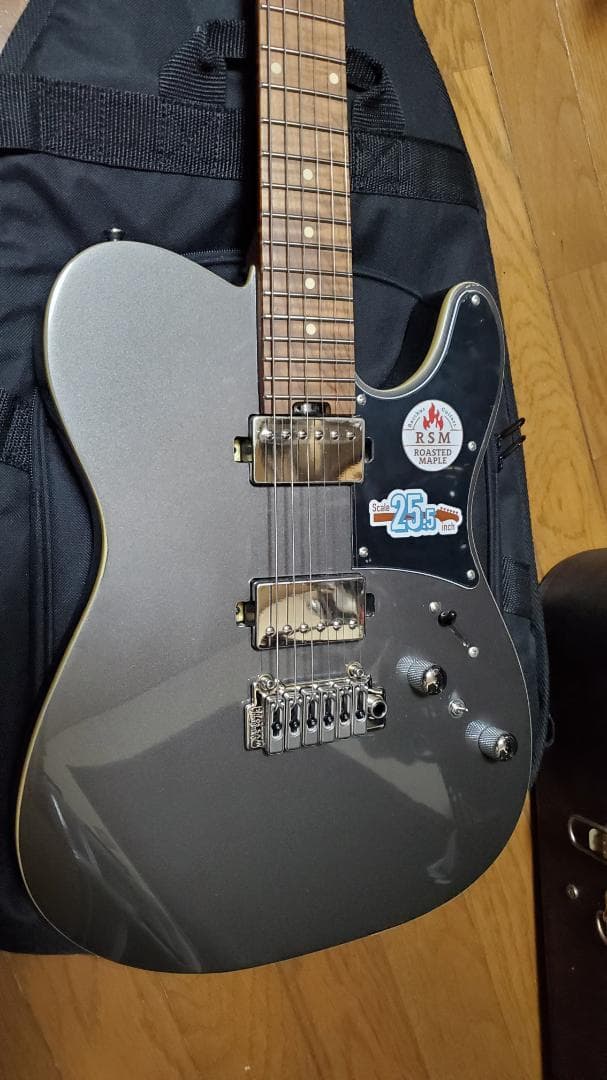 Bacchus TACTICS24-STD/RSM Gun-M ほぼ新品