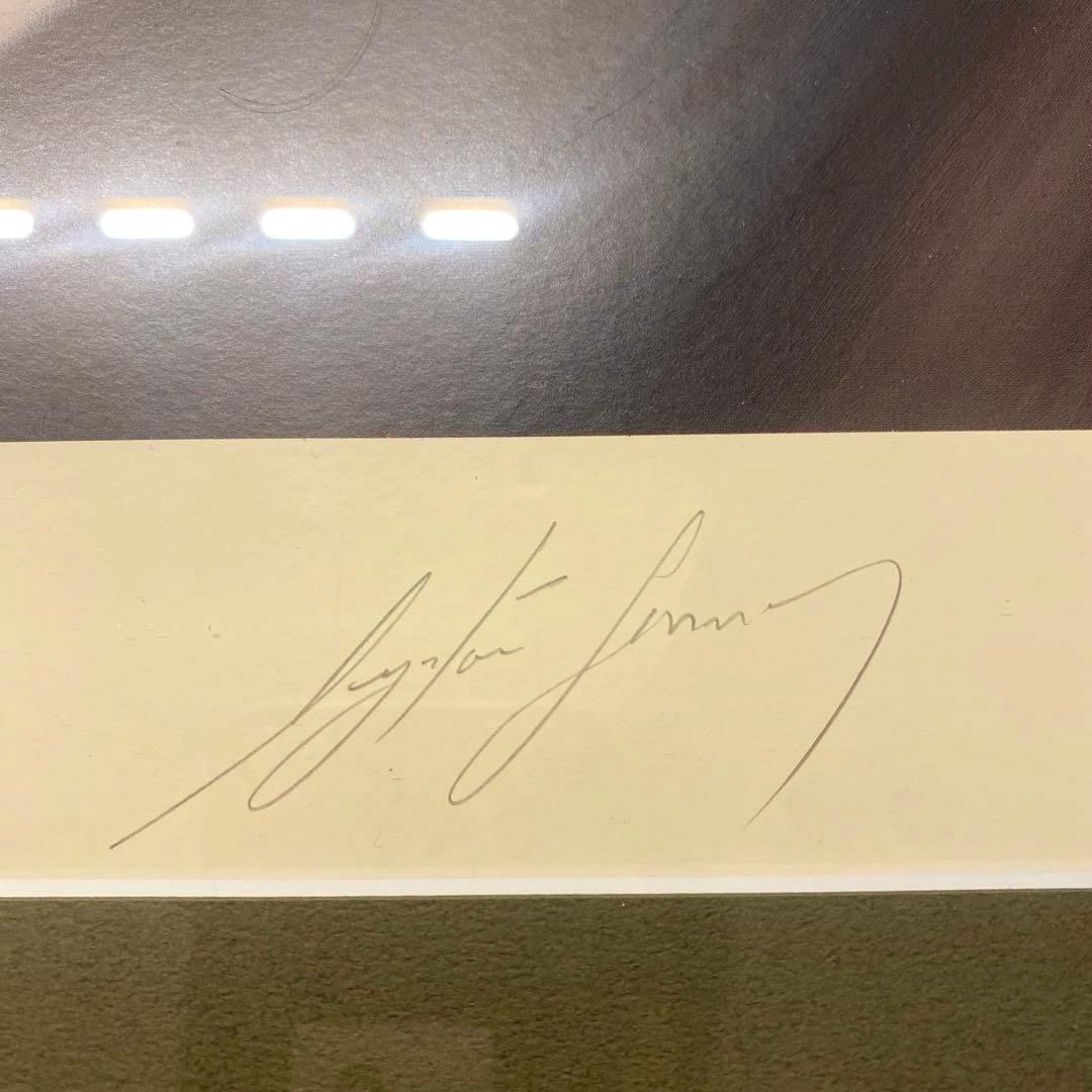 アイルトンセナ直筆サイン入りリトグラフ　FIGHT TO THE FINISH