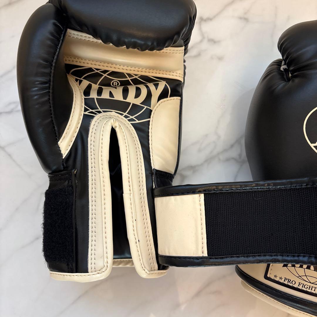 ボクシンググローブ　WINDY ウインディ　10oz