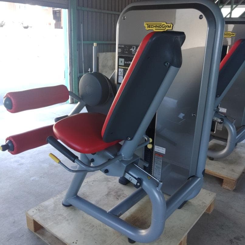TECHNOGYM レッグエクステンション・カール2台セット（引取り限定）