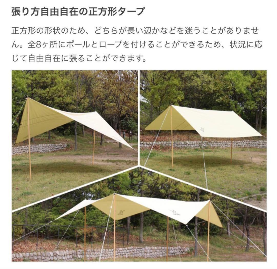 DOD チーズタープミニ TT3-581-TN タン　【試し張りのみ】