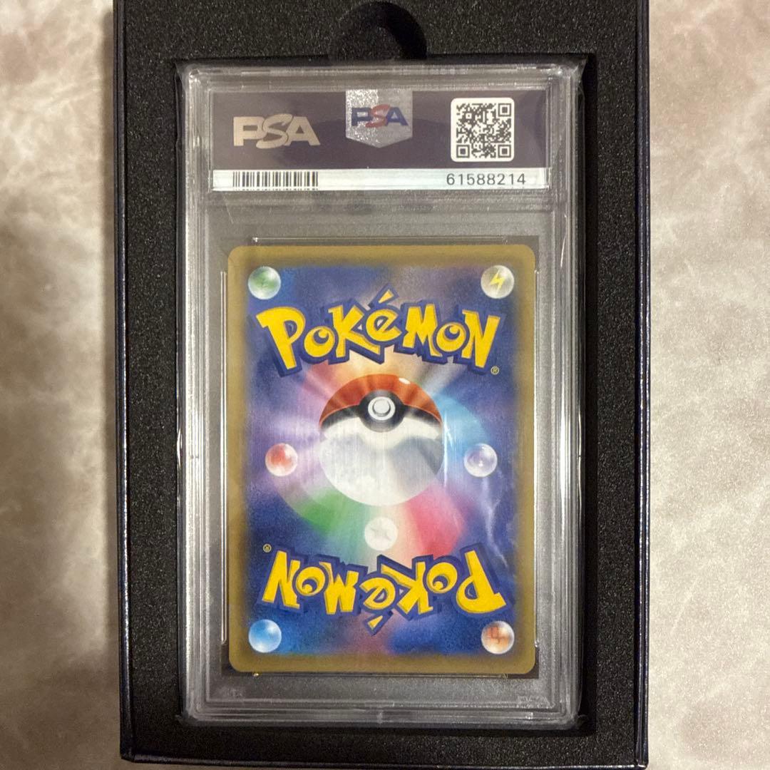 本日限定！特別価格！傘 エリカのおもてなし SR PSA10