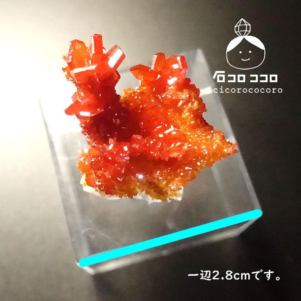 【匿名配送】バナディナイト06◆モロッコ直輸入【かわいい鉱物標本】石コロ ココロ