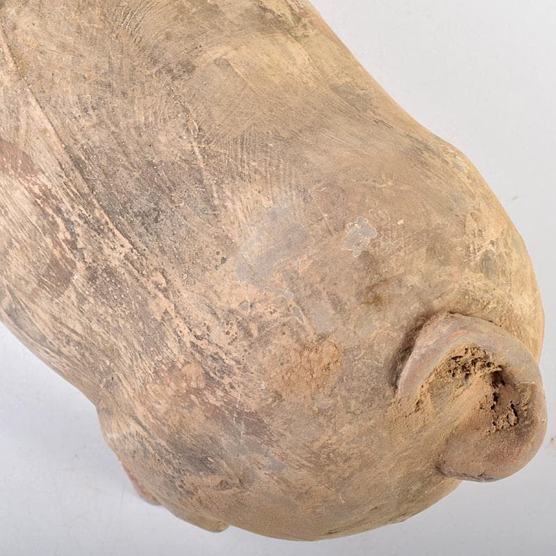 cafe-abakan　中国　加彩　豚俑　陶俑　置物　N　8950AE