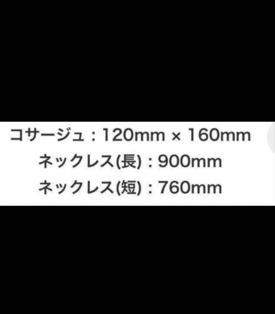 BUCK-TICK あっちゃん　 コサージュ　赤