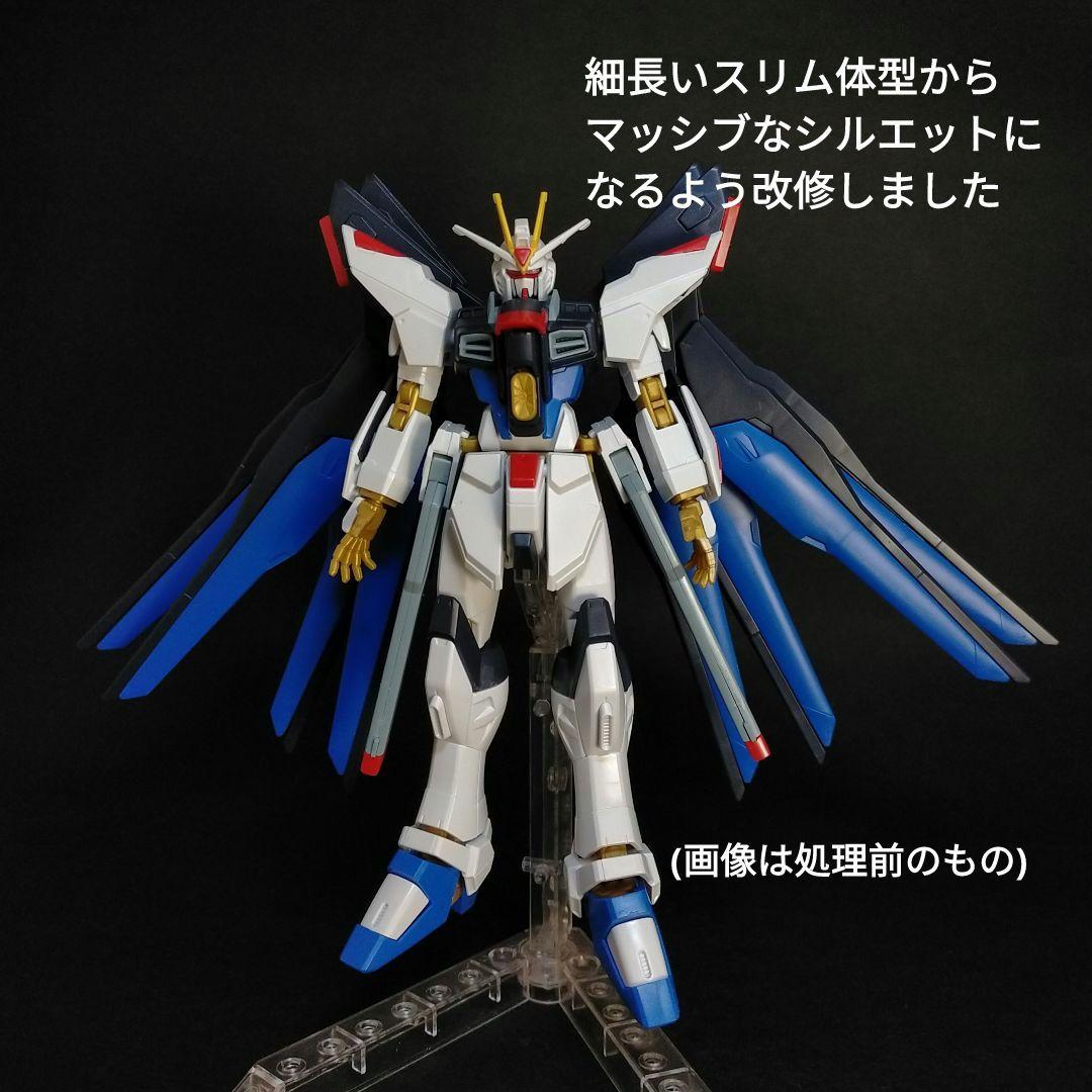 HGCE ストライクフリーダムガンダム 全塗装完成品(多数改修点あり)