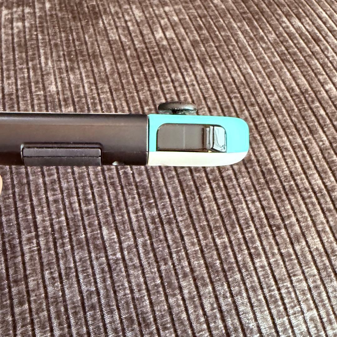 Nintendo Switch本体【どうぶつの森デザイン】・コントローラーセット