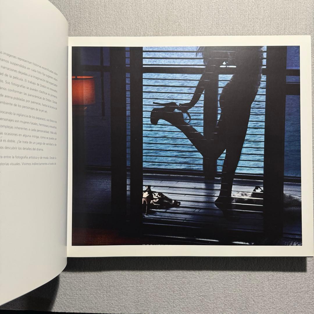 David Drebin デビッド ドレビン The Morning After