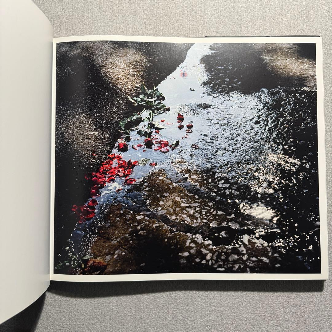 David Drebin デビッド ドレビン The Morning After