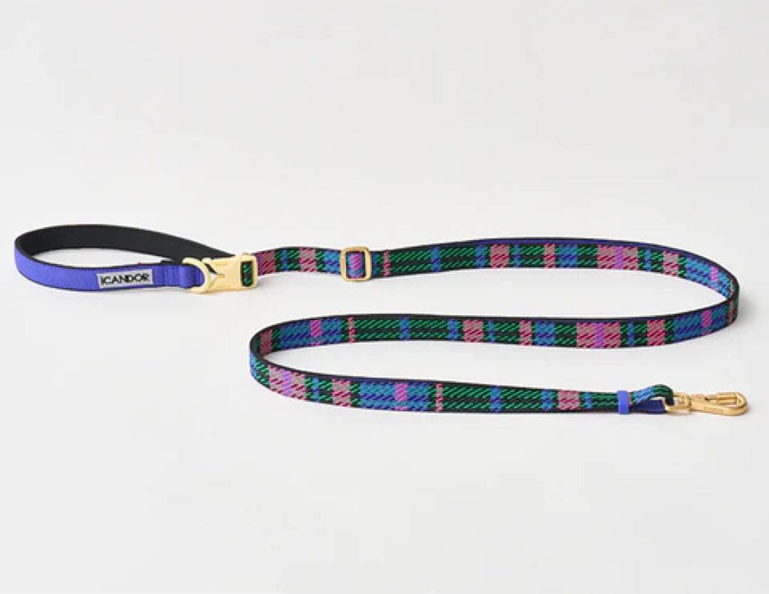 【ICANDOR】 首輪 ハーネス ショルダーリード 3点セット