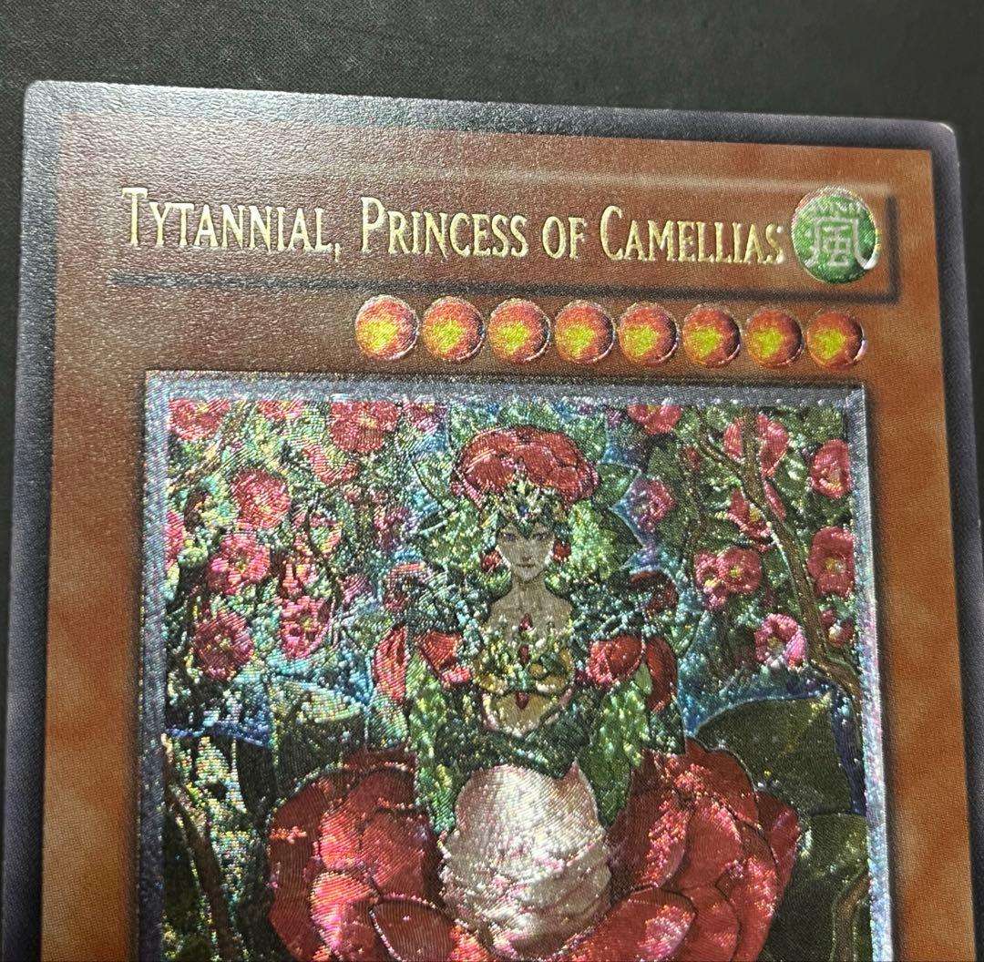 【未使用新品】椿姫ティタニアル レリーフ EU版 CSOC-EN029