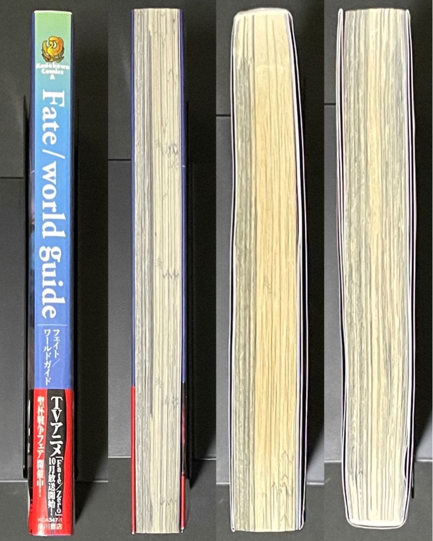 Fate/world guide フェイト ワールドガイド 初版