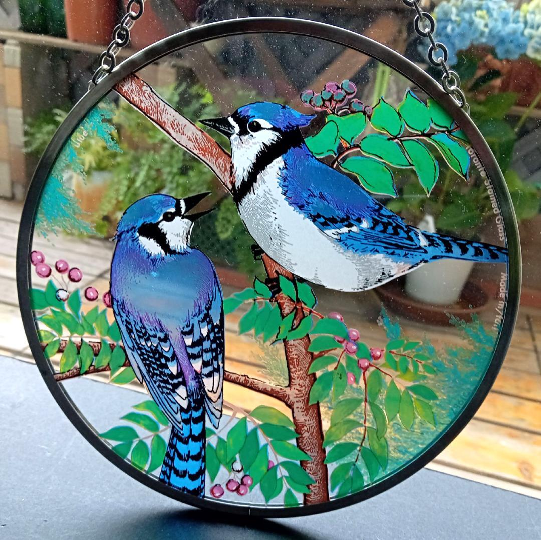 トロント・ステンドグラス Blue Jay ブルージェイ アオカケス
