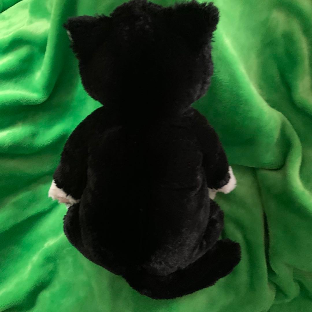 サンレモン　ひざねこ　お座り　ハチワレ