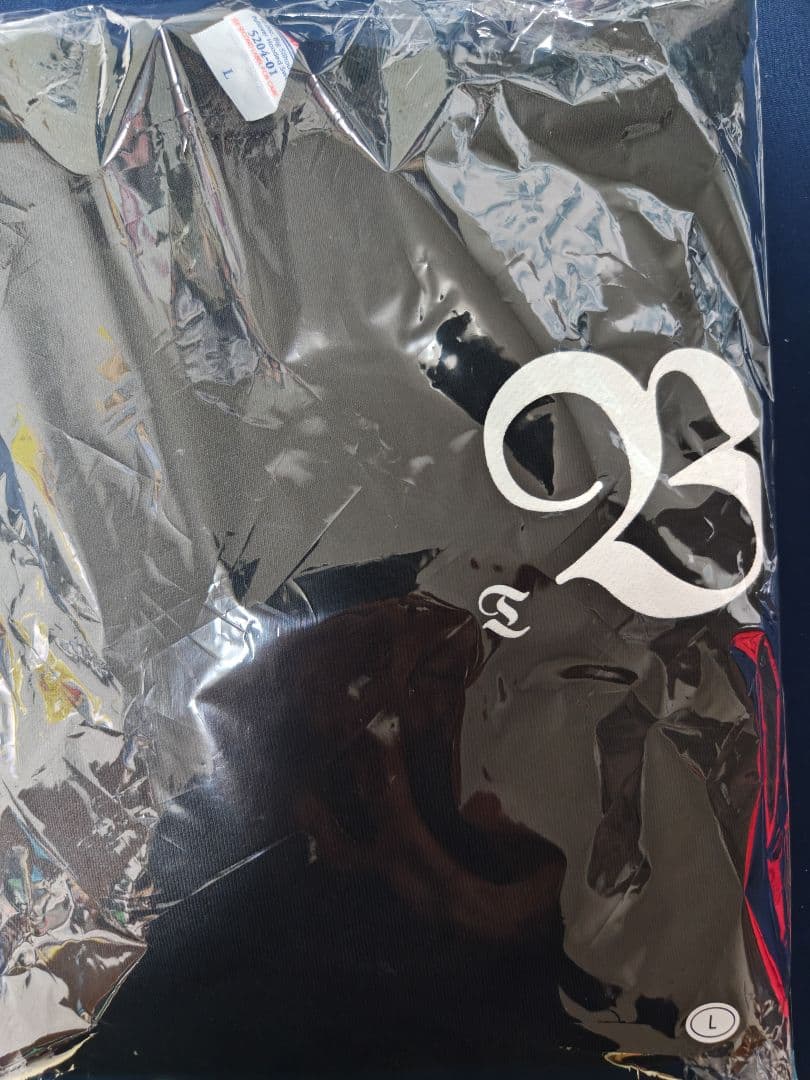 the birthday パーカー L チバユウスケ