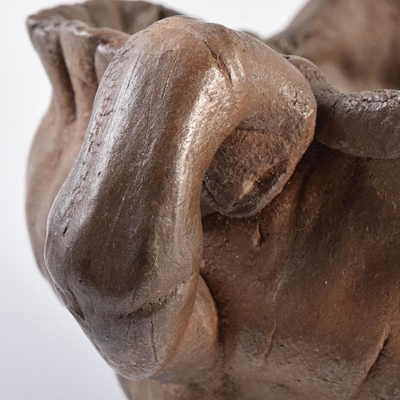 煎茶道具　南蛮手　手造　湯冷　在銘　時代箱　M　R7601