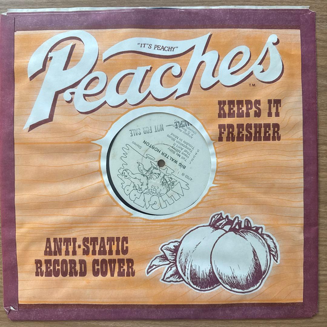 洋楽 Big Walter Horton With Carey Bell