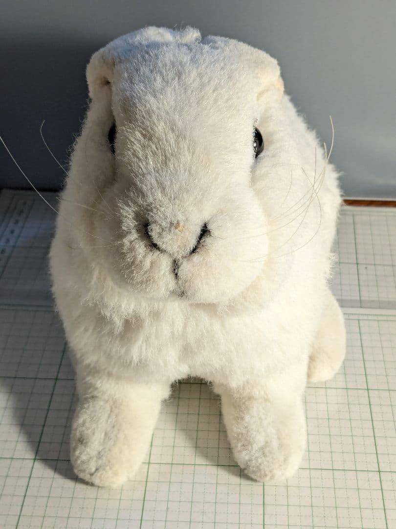kosen　ケーセン　ぬいぐるみ　うさぎ　白　ホワイト　White