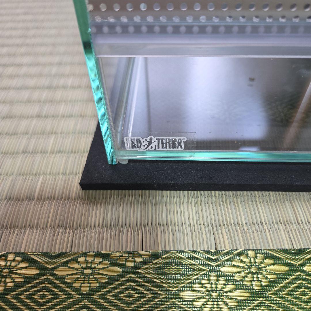 GEX エキゾテラ レプテリアクリアネオフィット180一式セット