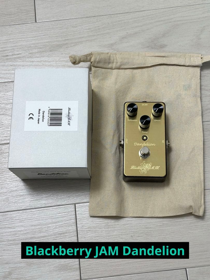 ギター Blackberry JAM Dandelion