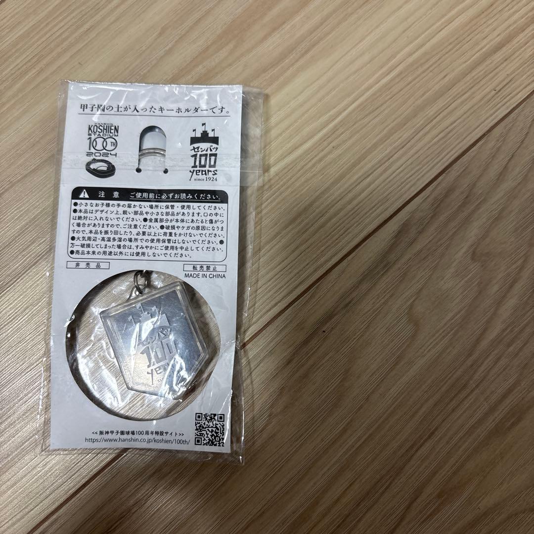 甲子園100周年記念の土