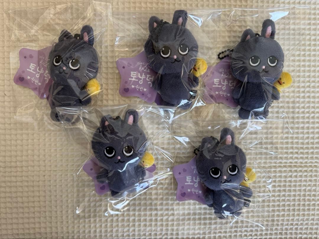 RIIZE PARK BABY RIIZE KEY RING 8cm ウォンビン