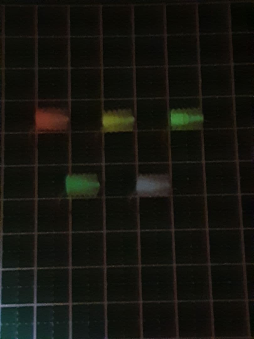 管釣り エリアトラウト ペレットルアー  グロー　5個　セット