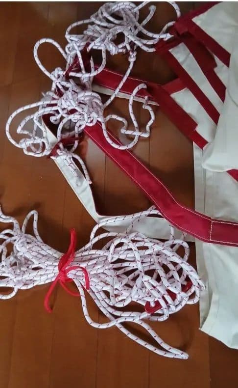 廃番 未使用 美品 ムササビウイング 13ft. コットン “焚き火” テンマク