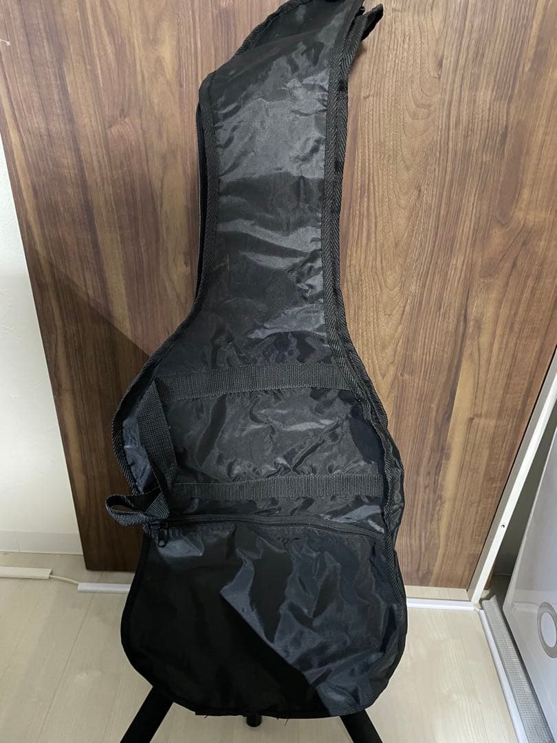 Bacchus Telecaster バッカス テレキャスター