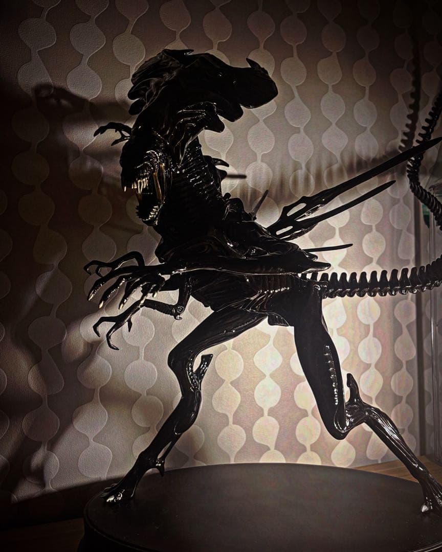 エイリアンクイーン ALIENQUEEN パリセイズpalisades 引取限定