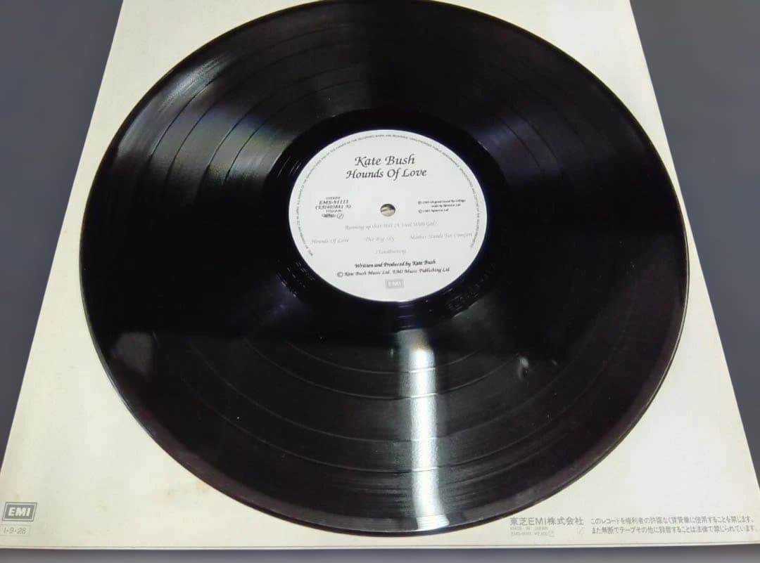 Kate Bush(ケイト・ブッシュ)「Hounds Of Love