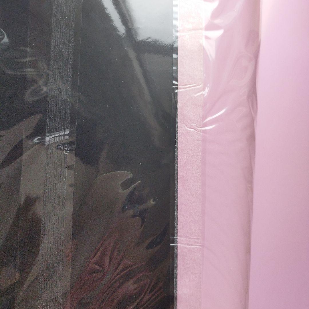 少女革命ウテナ画集 The hard Core of utena２冊+特典納品書