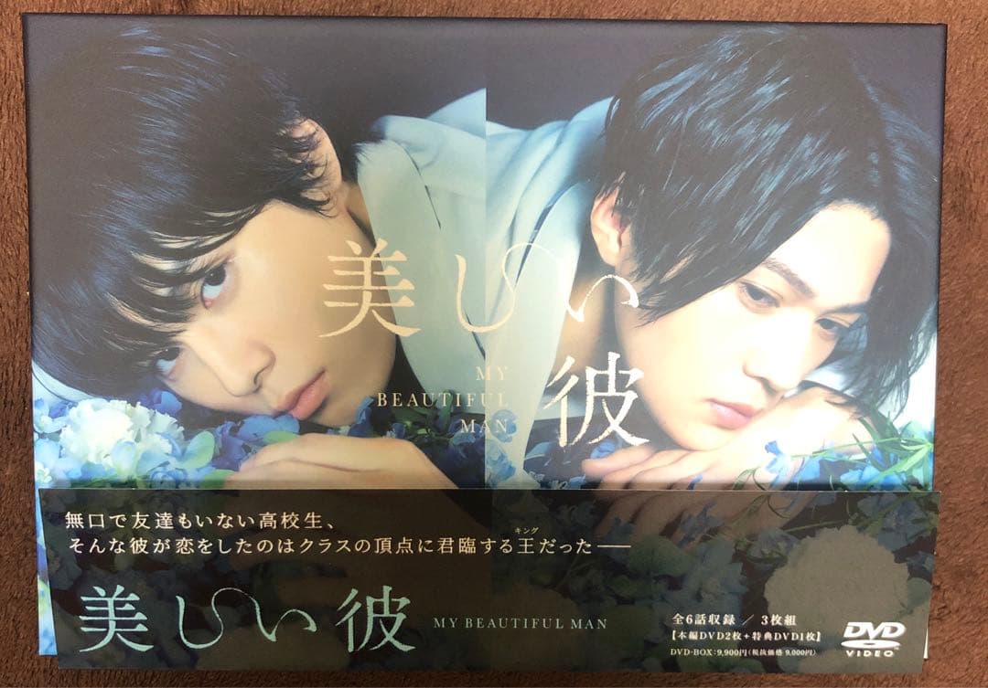 美しい彼 シーズン1・2 ・劇場版　DVD-BOX [DVD] まとめ売り