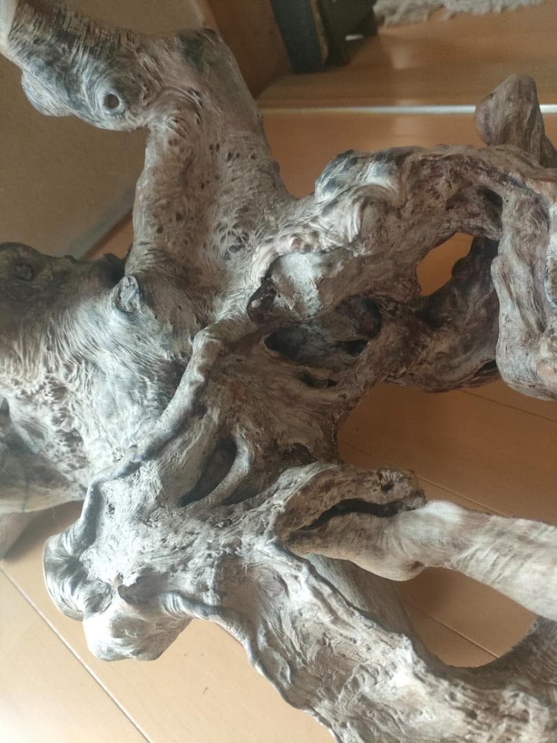 年末セール★大型流木