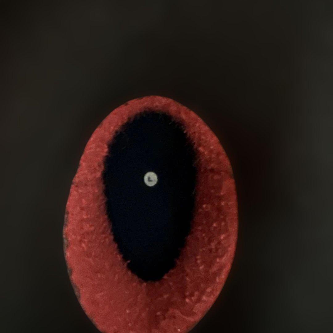 サーフィン用　DAN(ダン)ブーツ・グローブ