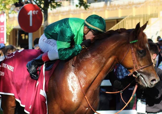 競馬　C.デムーロ騎手　サイン入り　実使用　ジョッキーパンツ
