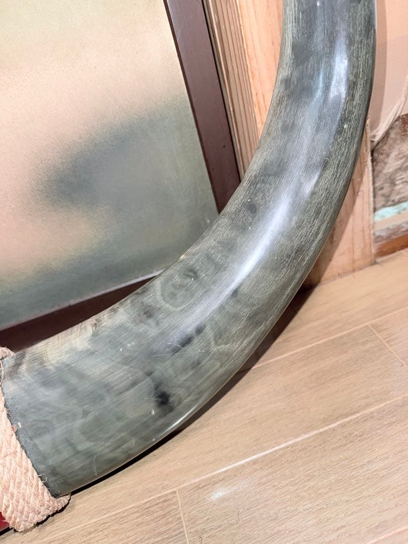 【希少・特大95cm】水牛の角 オブジェ ヴィンテージ 天然素材 迫力満点