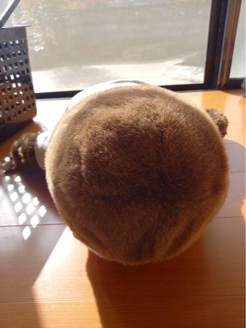 もんちっち ぬいぐるみ セキグチ 約50cm