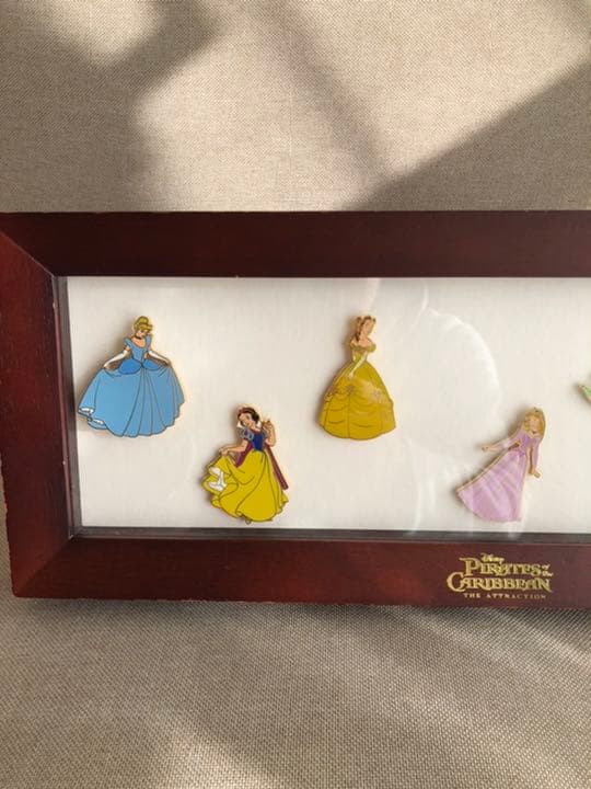 ディズニー　ピンバッジ　PinCollecting プリンセス　額入り