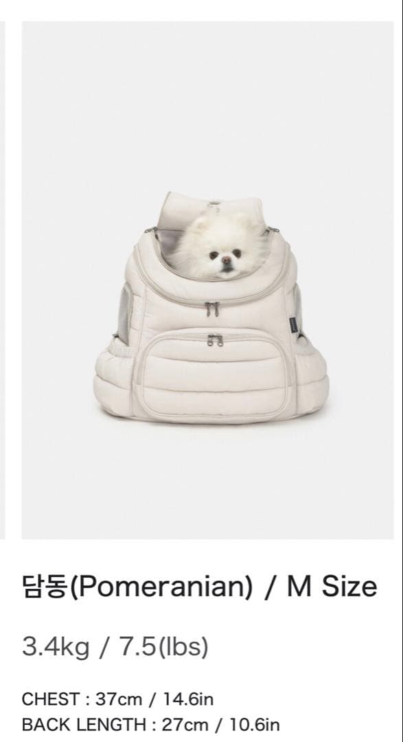 SSOOOK 犬用リュック ブラック Mサイズ