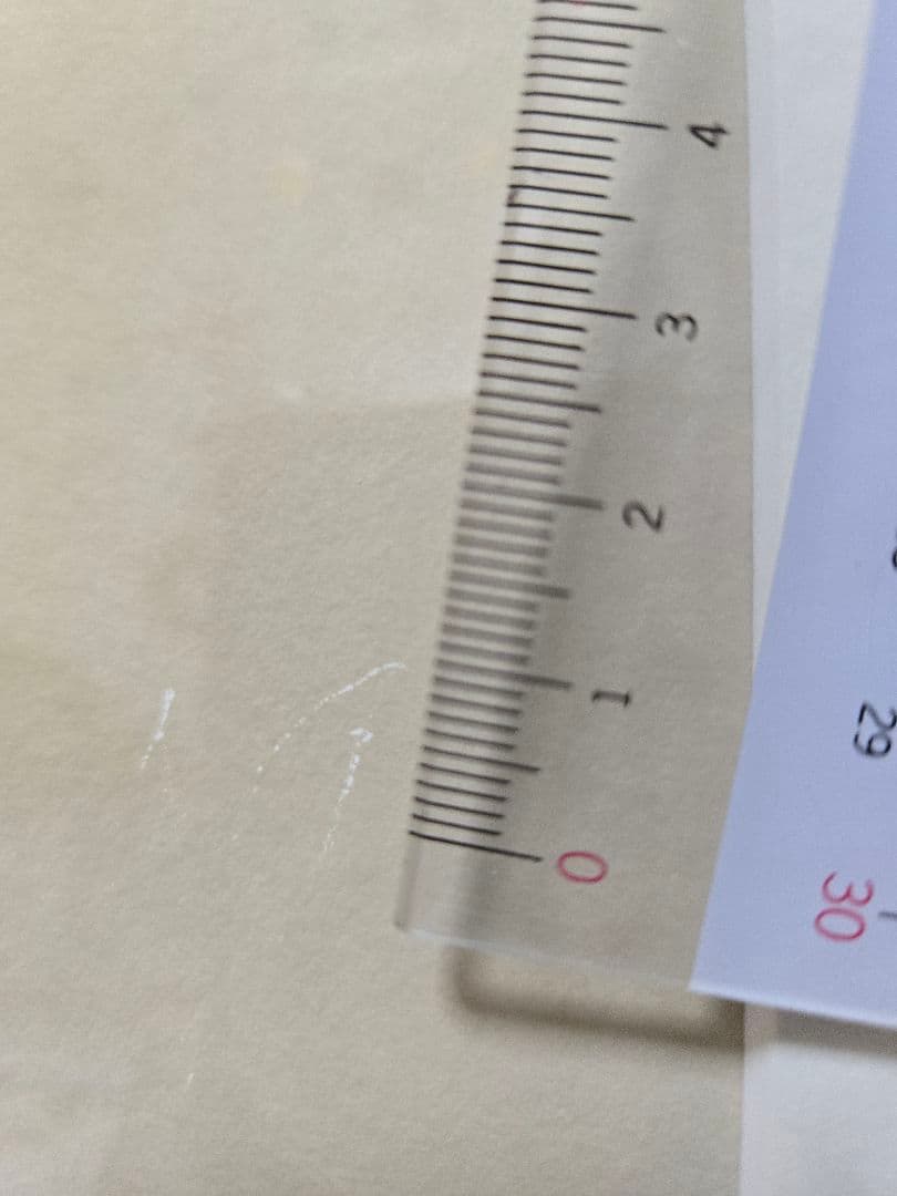 H*e様 花井祐介　ポスター　シルクスクリーン yusuke hanai 額縁付