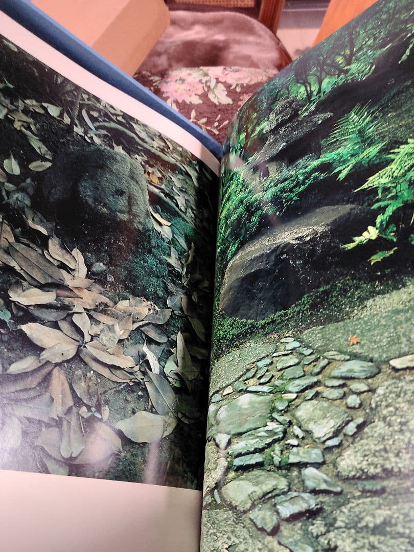 昭和52年 桂離宮 写真集 講談社　箱付き　美品　当時定価５９，０００円